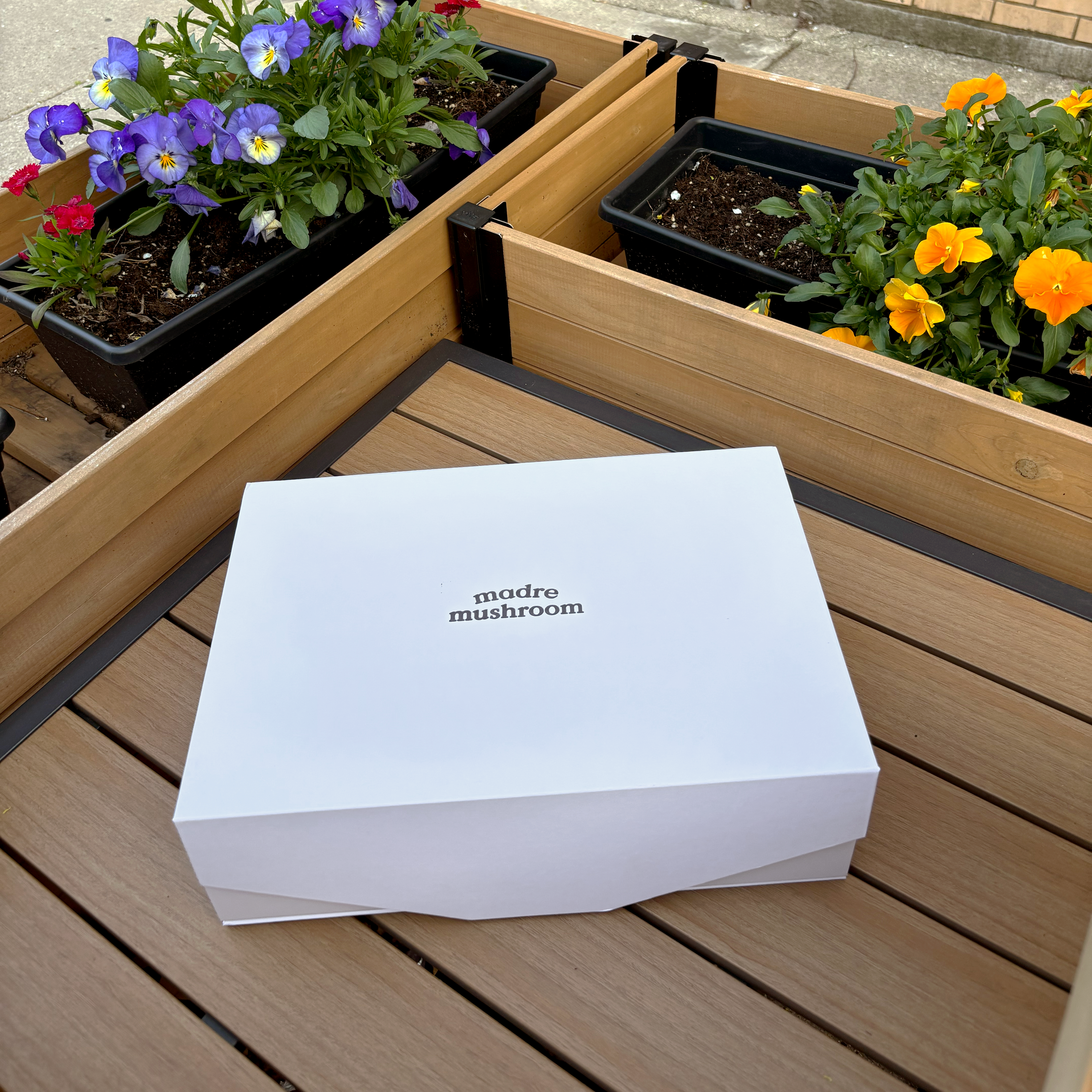 The Mother’s Day Bundle – Instant Mushroom Latte Gift Set